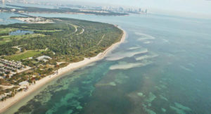 Virginia Key Beach