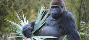Miami Zoo Hours