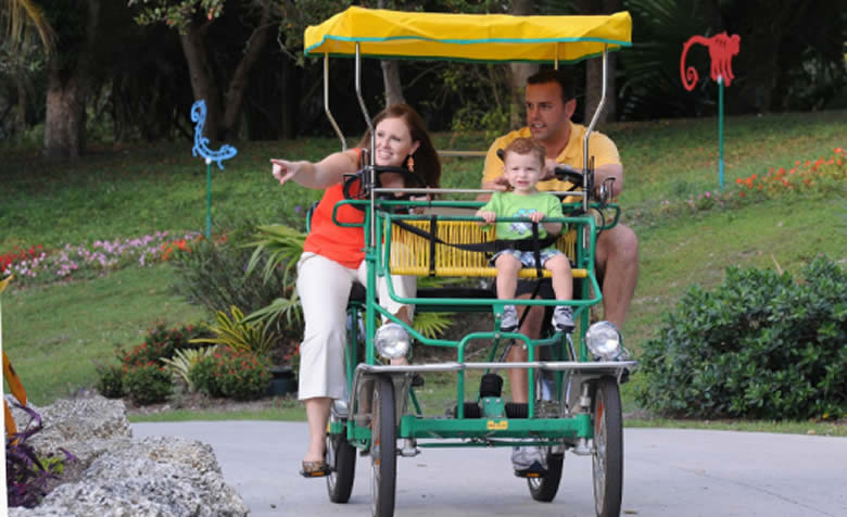 safari cycle zoo miami