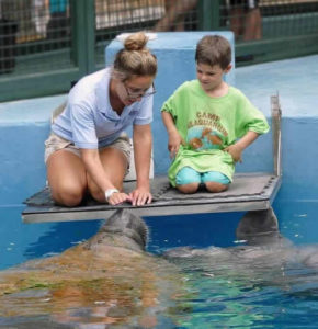 Miami Seaquarium Summer Camp