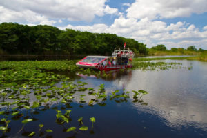 Fort Lauderdale Everglades