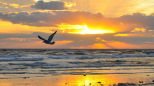 Fort Lauderdale Beach Sunset