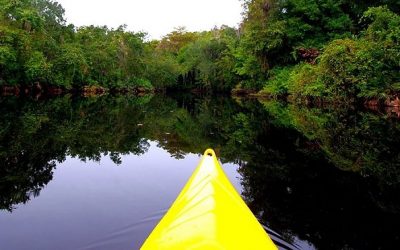 The Paddling Center: Kayaking and Canoeing in Orlando