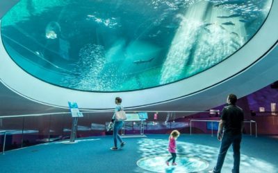 Take a video tour of the new Frost Museum of Science