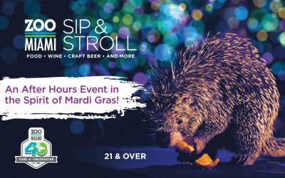 Sip & Stroll at Zoo Miami