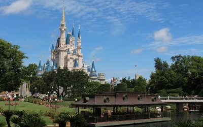 Disney World Reopens As COVID-19 Cases Surge In Florida