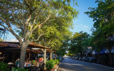 Bohemian or Business: Identities Collide in Miami’s Coconut Grove