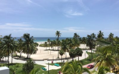 Lummus Park: Leisure and entertainment in South Beach